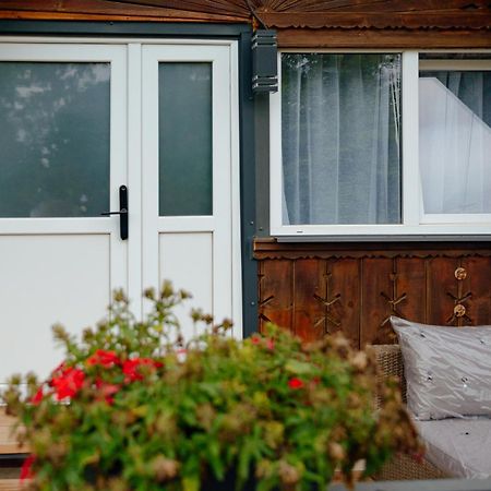 Casa Gherman Cheia Cheia  エクステリア 写真